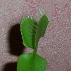 09-08.jpg