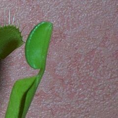 08-29.jpg
