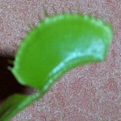 09-05.jpg